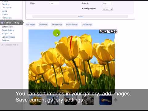 #1 Flash Gallery Plugin tutorial