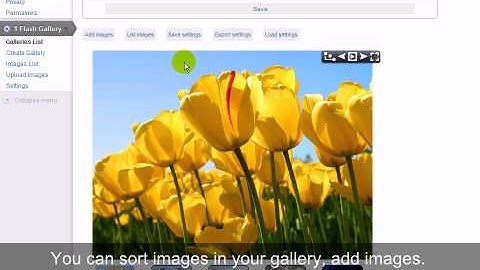 #1 Flash Gallery Plugin tutorial