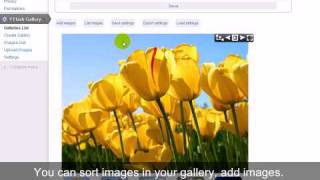 Celebrity #1 Flash Gallery Plugin tutorial Net Worth