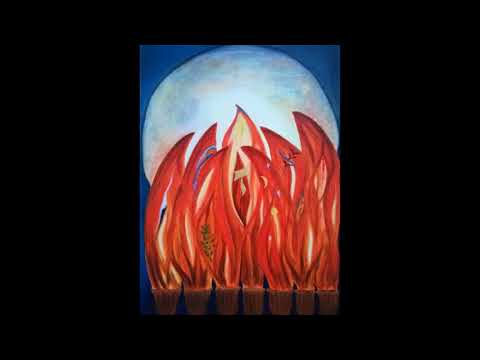 Expositie Anneke Spriensma