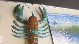 Selling The 5,000 Thousand Dollar Giant Lobster Vlog
