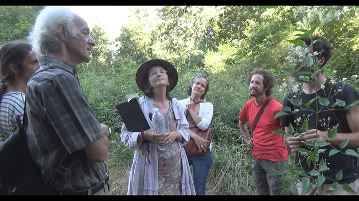 Balade botanique avec Nadge Mousquey et Ernst Zrch...