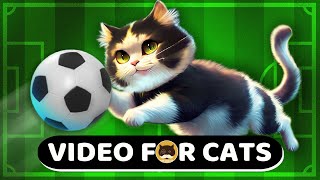 Cat Games - Soccer Ball. Videos For Cats | Cat & Dog Tv.