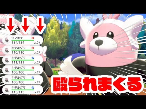 ポケモン剣盾 キテルグマと遊ぶとこうなりますpart10 大量のキテルグマ Youtube