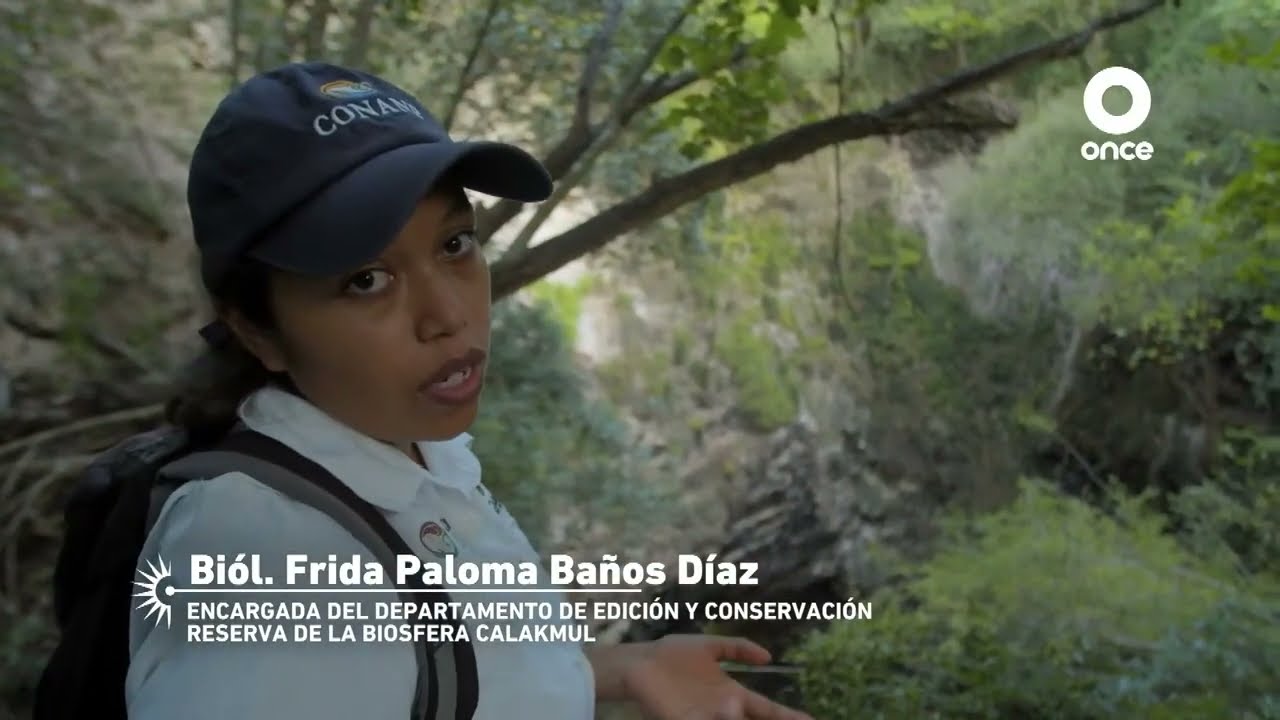 México biocultural - Reserva de la Biósfera Pantanos de Centla y Calakmul (28/06/2022)