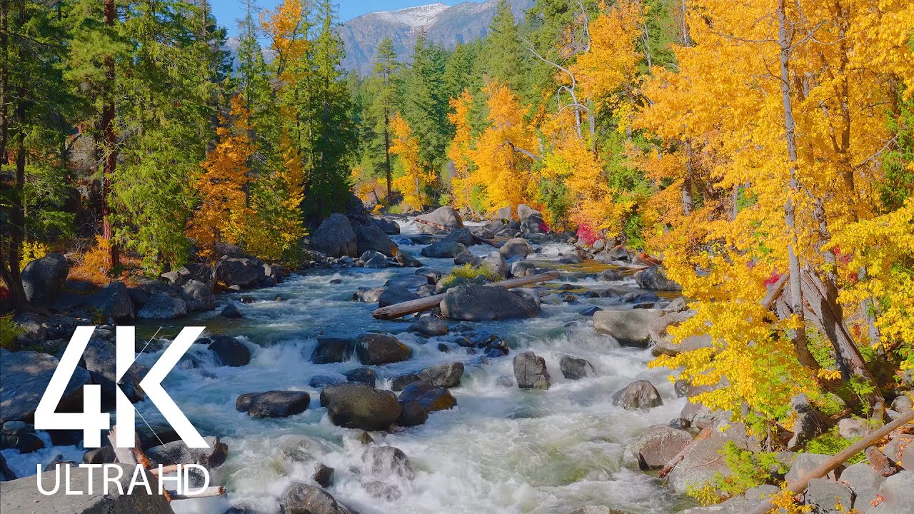 8HRS Relaxing Sound of Wenatchee River and Birds Songs during Fall Season - Amazing Rivers - Part  2