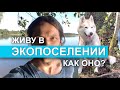 Экопоселение. Стоит ли?