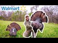 Epic WALMART Turkey Hunting CHALLENGE!!! (Catch Clean Cook)