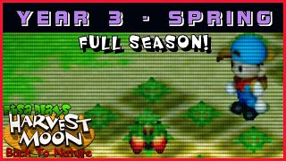 Harvest Moon Back to Nature Year 3 Spring Full Season - Etsa Plays screenshot 5