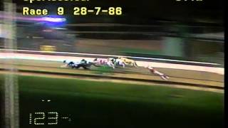 Details Olympic Park greyhounds hurdle race 1986 News