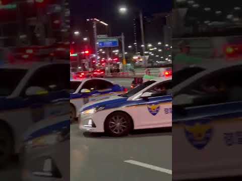 대구폭주 8.15 두바퀴 좀 타본 행님들