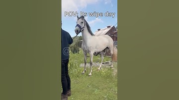 POV: Its wipe day  #greenscreenvideo #wipeday #djkhaled #rust #funny #rustgame #playrust #meme