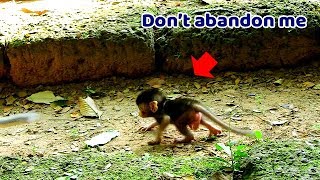 Don't abandon me Mom | Toma walk out careless baby,So pity poor newborn walk shaking body follow mom