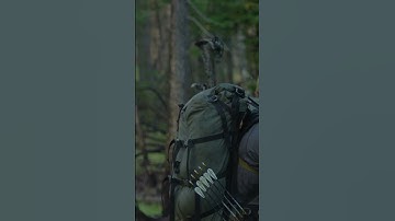 Archery Elk Shot - Dreaming for times like this  #hunting #gohunt #archery #elk