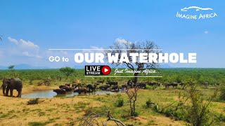 Live Stream from Lodge Waterhole - Imagine Africa Luxury Tented Camp - Greater Kruger
