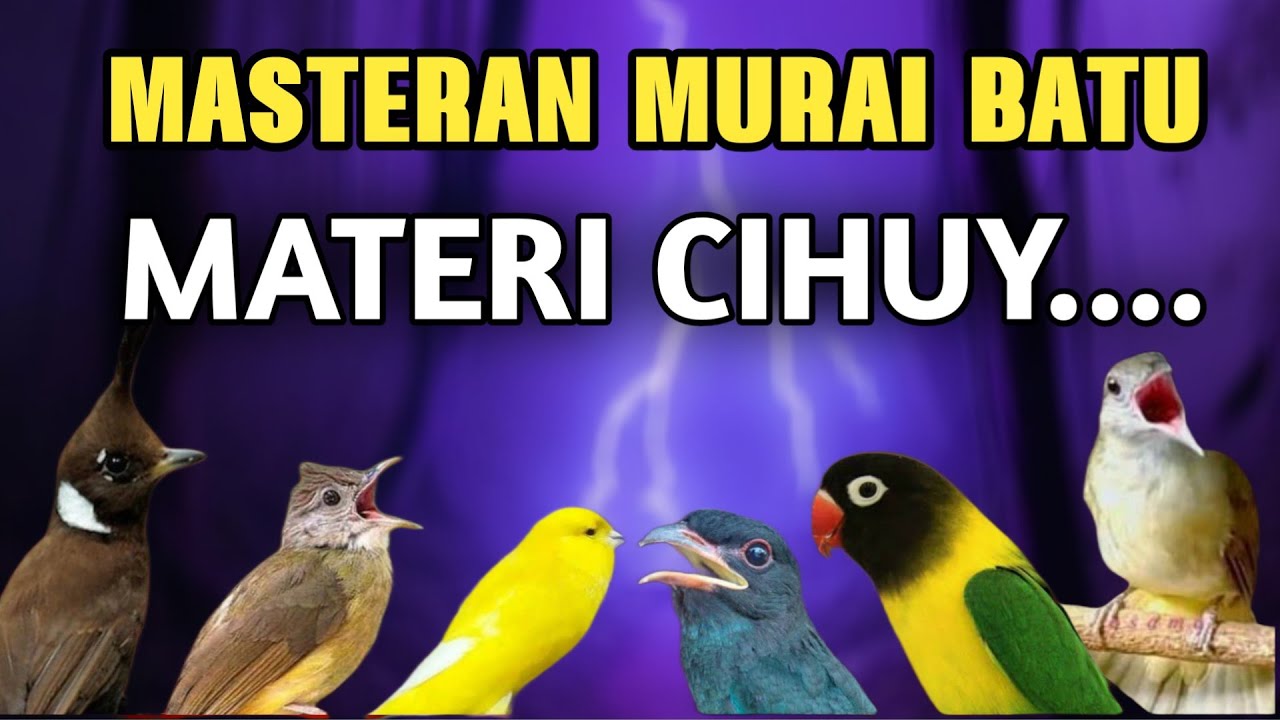 MASTERAN MURAI SUARA JERNIH CILILIN JENGGOT KENARI TENGKEK lb KT suara mantp mudah ditiru