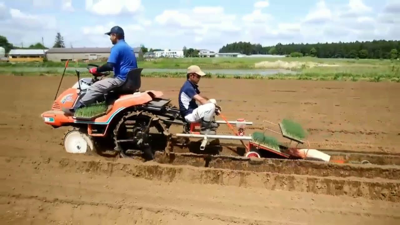 ネギひっぱり君改良型『田植え機でひっぱり君』 - YouTube