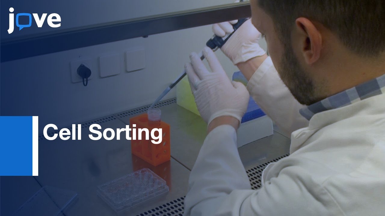 Cell Sorting Video Cell Culture of Neurons Established through Cell Sorting | Protocol ...