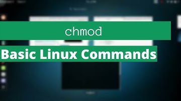 chmod command in Kali Linux | chmod | Basic Linux Commands | terminal commands | changing file mode