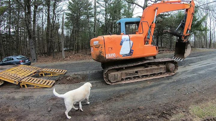 Digging out stumps