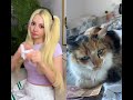 Prima vou te fazer um pix. #cat #cats #catshorts #catvideos #catlife #catmemes