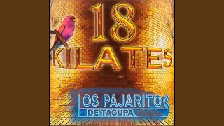 Video thumbnail of "Los Pajaritos de Tacupa - Moño Negro"