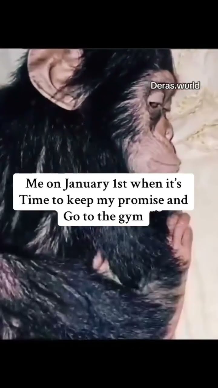 When it’s January second and that prvnci playing in your ear