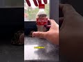 【#小松鼠普洱】怎么把小松鼠装进可乐瓶里？ image