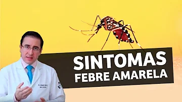 Qual o nome do vírus causador da febre amarela?