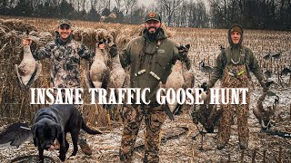 New Years Pennsylvania Goose hunt in A frames