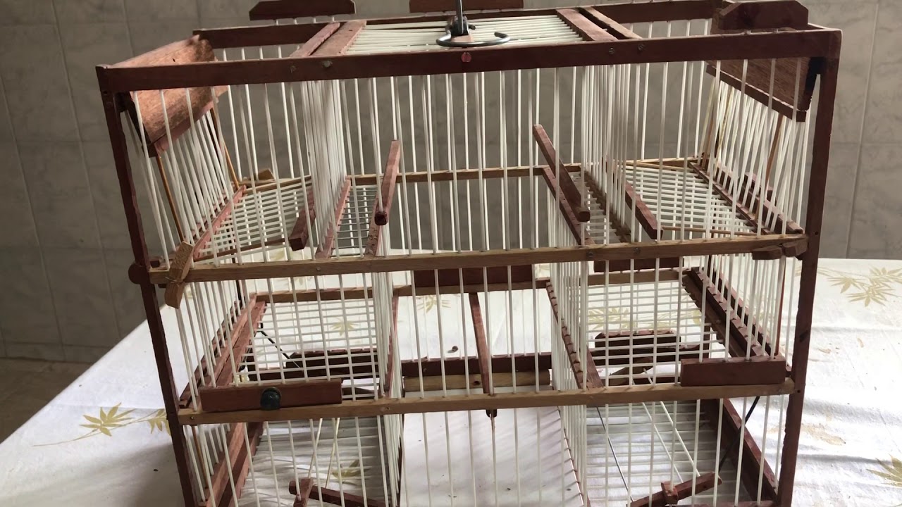 Gaiola de caça automática