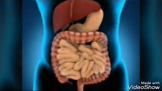 علاج تخمر الطعام في المعدة و رائحة الفم الكريهة