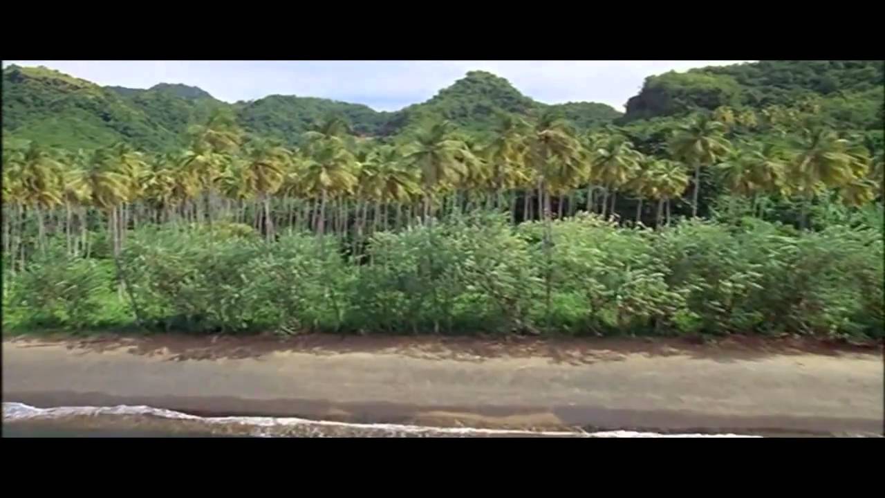 Ver Skazka - Ocean ( BBC Films) .wmv no YouTube Ver Skazka - Ocean ( BBC Films) .wmv no YouTube