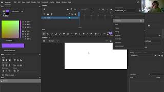 Adobe Animate Interface
