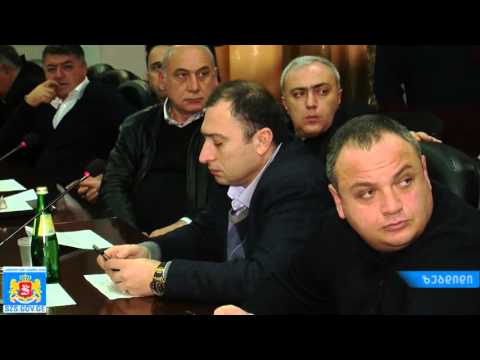 საკონსულტაციო  საბჭოს სხდომა