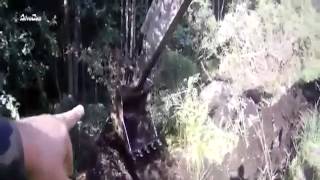 guy saves an elk with an excavator