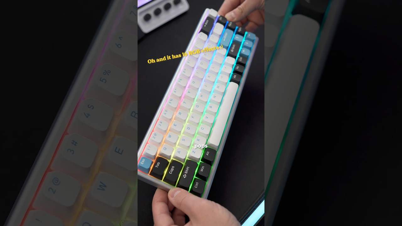 MAGNETIC gaming keyboard?! ??⌨️ Polar 65 by Arbiter Studio 