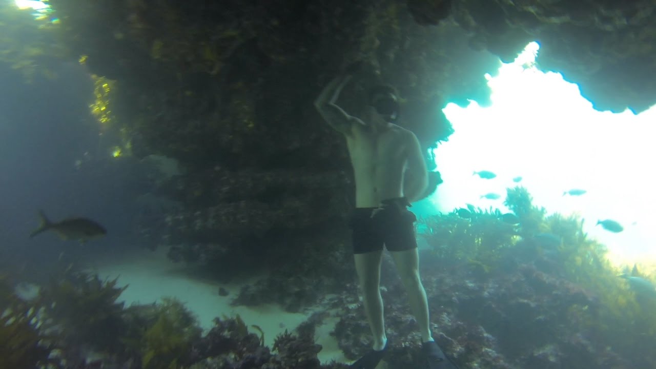 Underwater Dreaming Freediving south of perth YouTube