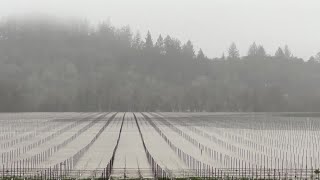 Unprecedented rains flood California's farms