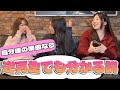 皆も当てて見てね😼😻😽※罰ゲーム有り
