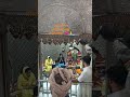#nageshwar #gujarat #jyotirling #dwarka #bhakti #bholenath #shivling #viral #youtubeshorts