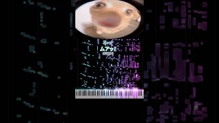 👁️ Meownitoring... 🐾 Adorable Cat vs Fisheye Lens!