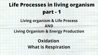Living organism & Life process |Living organism & Energy production | Respiration |10th Semi English