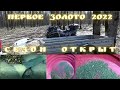 Первое Золото 2022. Сезон открыт!