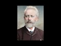 Tchaikovsky - Symphony No.5 in E minor Op.64 - I. Andante