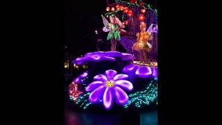 Tokyo Disneyland Electrical Parade 05182015