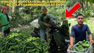 Download Lagu SA SOBRANG MAHAL NG GULAY MISMONG MAMIMILI NA ANG PUMUPUTA SAATING HALAMANAN SALAMAT PO MP3 Download Lagu SA SOBRANG MAHAL NG GULAY MISMONG MAMIMILI NA ANG PUMUPUTA SAATING HALAMANAN SALAMAT PO MP3