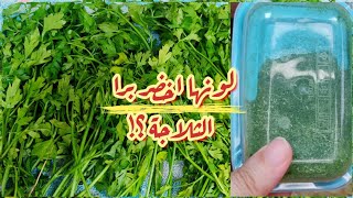 طريقة حفظ (البقدونس والكزبرة ) بطريقتينبنفس لونها لمدة سنةبدون ثلاجة أو فريزر#حيل_مطبخية 