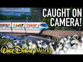 Disney Monorail TRACK CLEANING Caught on Camera! - Disney News