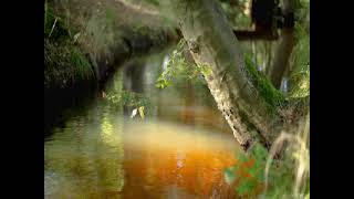 Mustafa Dursun - Kuran-I Kerime Sorda Söylesin